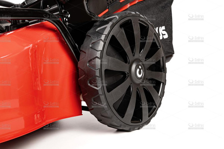 Kosiarka spalinowa Cedrus KS51S-ZT 