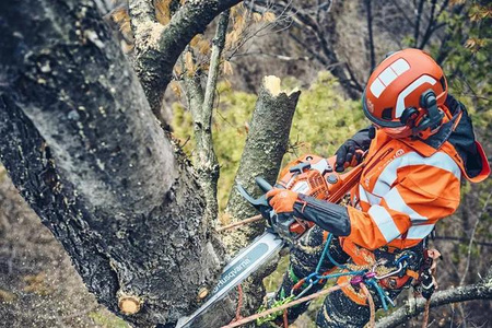 Profesjonalna pilarka Husqvarna 560 XP® Mark II