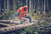Profesjonalna pilarka Husqvarna 560 XP® Mark II