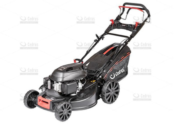 Kosiarka spalinowa Cedrus KS56S