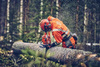 Profesjonalna pilarka Husqvarna 560 XP® Mark II