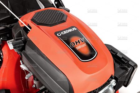 Kosiarka spalinowa Cedrus KS51S-ZT 