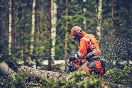 Profesjonalna pilarka Husqvarna 560 XP® Mark II