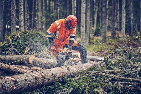 Profesjonalna pilarka Husqvarna 560 XP® Mark II
